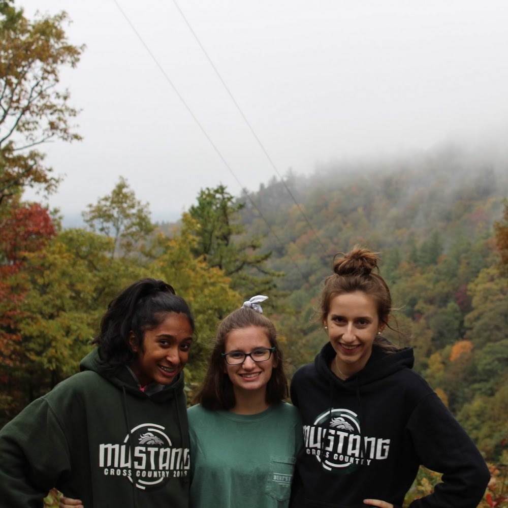 Meet your Posher, Laura